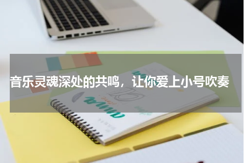  音乐灵魂深处的共鸣，让你爱上小号吹奏