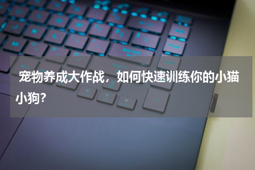 宠物养成大作战，如何快速训练你的小猫小狗？