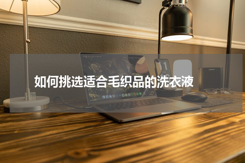  如何挑选适合毛织品的洗衣液 