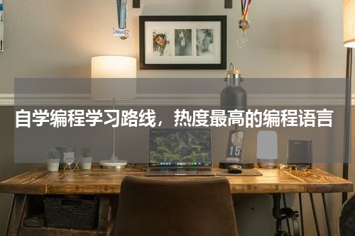  自学编程学习路线，热度最高的编程语言