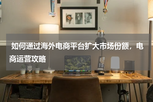 如何通过海外电商平台扩大市场份额，电商运营攻略