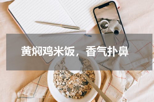  黄焖鸡米饭，香气扑鼻