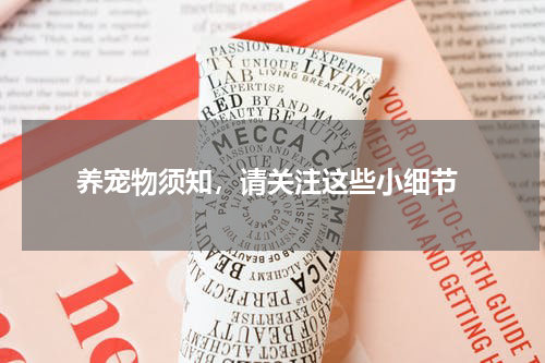  养宠物须知，请关注这些小细节