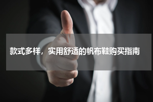  款式多样，实用舒适的帆布鞋购买指南