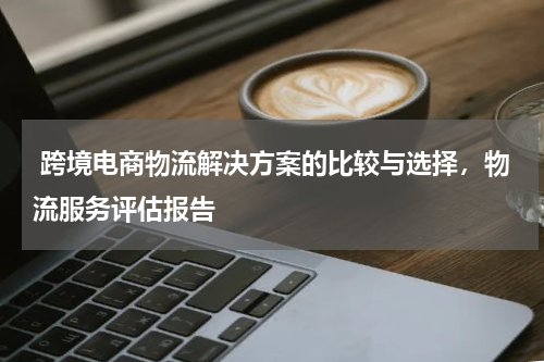  跨境电商物流解决方案的比较与选择，物流服务评估报告