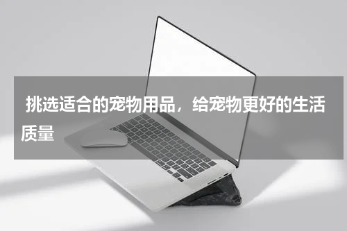 挑选适合的宠物用品，给宠物更好的生活质量