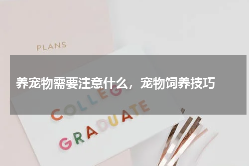  养宠物需要注意什么，宠物饲养技巧 