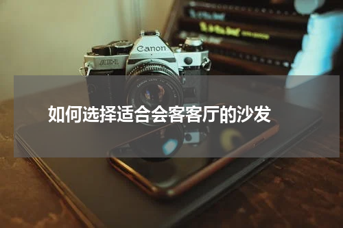  如何选择适合会客客厅的沙发 