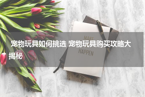  宠物玩具如何挑选 宠物玩具购买攻略大揭秘