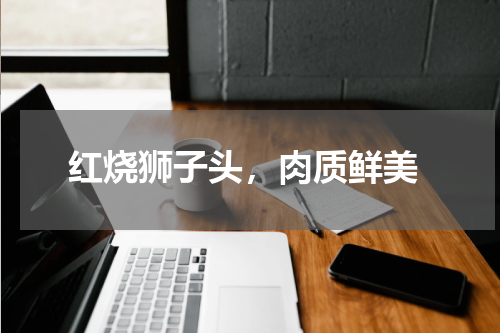  红烧狮子头，肉质鲜美