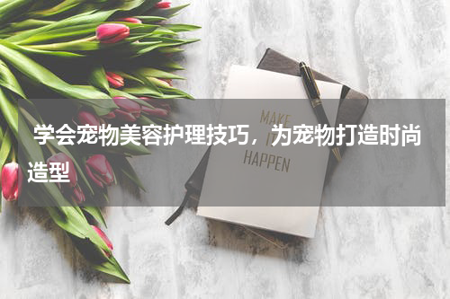  学会宠物美容护理技巧，为宠物打造时尚造型