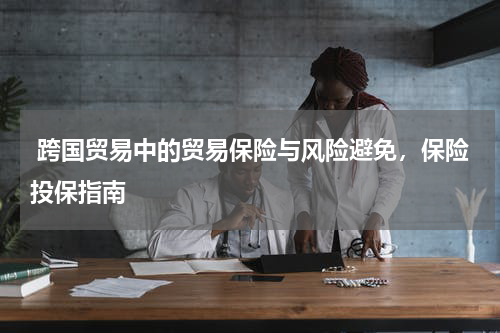  跨国贸易中的贸易保险与风险避免，保险投保指南