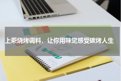  上乘烧烤调料，让你用味觉感受碳烤人生