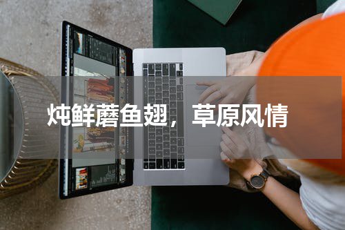  炖鲜蘑鱼翅，草原风情
