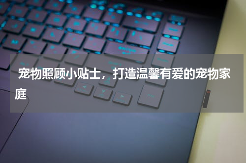  宠物照顾小贴士，打造温馨有爱的宠物家庭