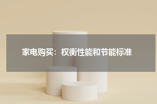  家电购买：权衡性能和节能标准