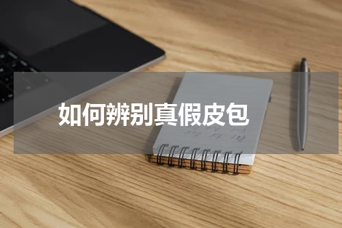 如何辨别真假皮包 
