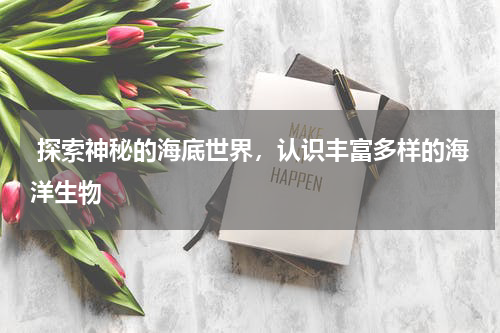  探索神秘的海底世界，认识丰富多样的海洋生物