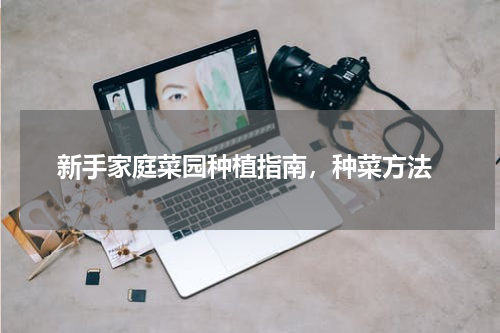  新手家庭菜园种植指南，种菜方法