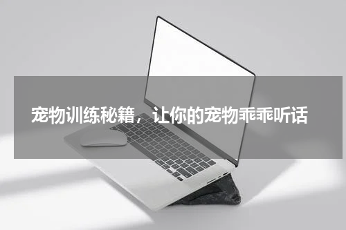  宠物训练秘籍，让你的宠物乖乖听话