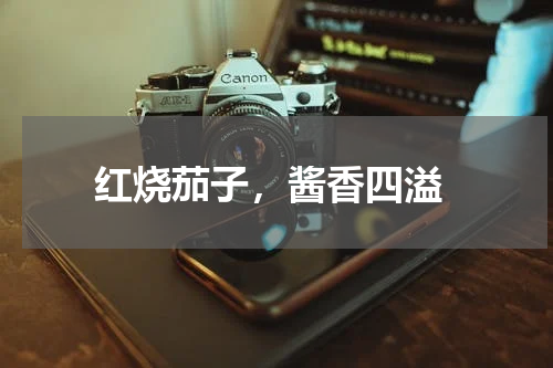  红烧茄子，酱香四溢