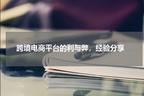  跨境电商平台的利与弊，经验分享