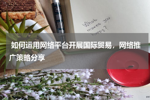  如何运用网络平台开展国际贸易，网络推广策略分享