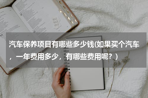 汽车保养项目有哪些多少钱(如果买个汽车，一年费用多少，有哪些费用呢？)