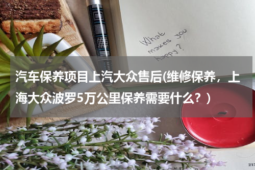汽车保养项目上汽大众售后(维修保养，上海大众波罗5万公里保养需要什么？)