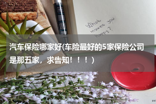 汽车保险哪家好(车险最好的5家保险公司是那五家，求告知！！！)