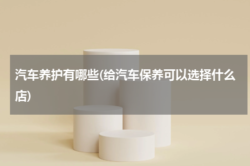 汽车养护有哪些(给汽车保养可以选择什么店)