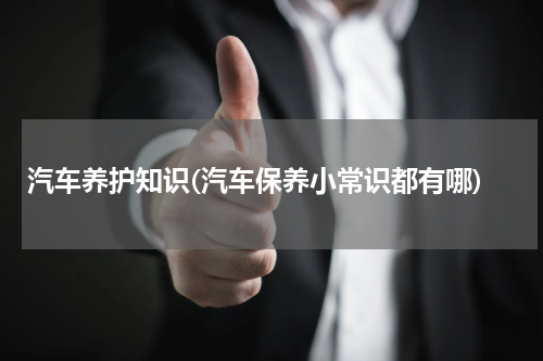 汽车养护知识(汽车保养小常识都有哪)