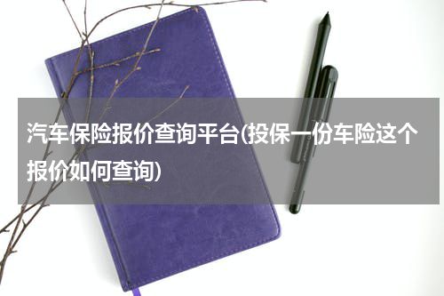 汽车保险报价查询平台(投保一份车险这个报价如何查询)