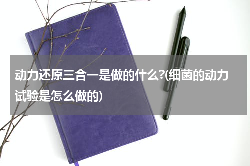 动力还原三合一是做的什么?(细菌的动力试验是怎么做的)