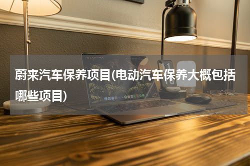 蔚来汽车保养项目(电动汽车保养大概包括哪些项目)