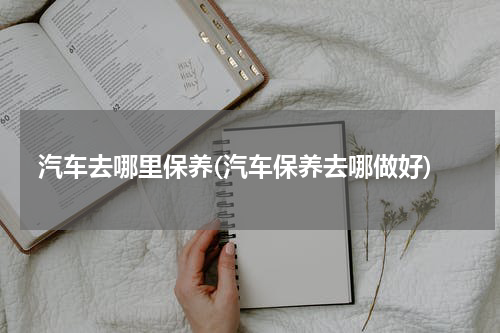 汽车去哪里保养(汽车保养去哪做好)