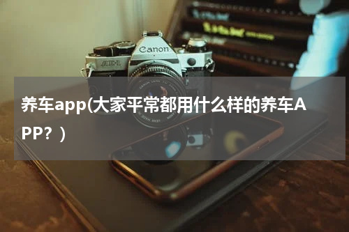 养车app(大家平常都用什么样的养车APP？)