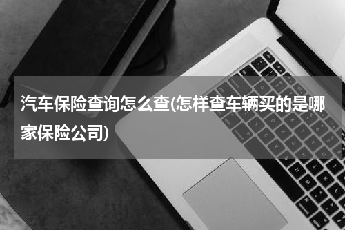 汽车保险查询怎么查(怎样查车辆买的是哪家保险公司)