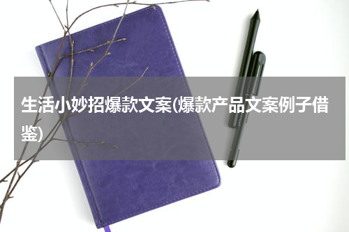 生活小妙招爆款文案(爆款产品文案例子借鉴)