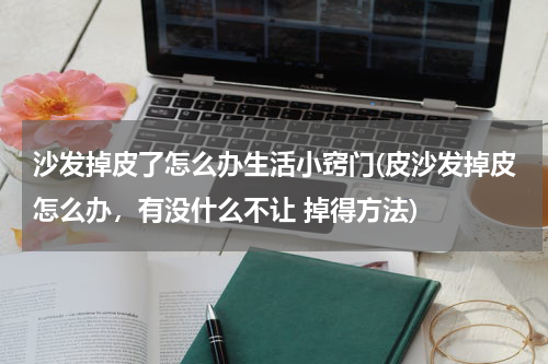 沙发掉皮了怎么办生活小窍门(皮沙发掉皮怎么办，有没什么不让 掉得方法)
