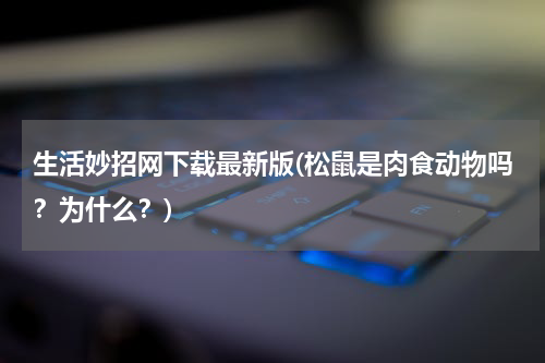 生活妙招网下载最新版(松鼠是肉食动物吗？为什么？)