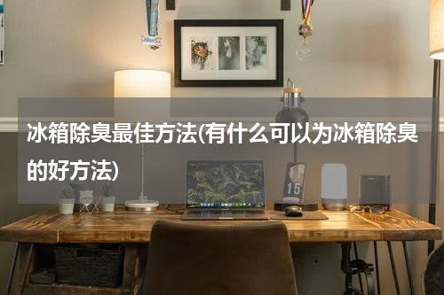 冰箱除臭最佳方法(有什么可以为冰箱除臭的好方法)