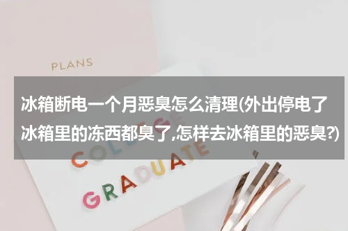 冰箱断电一个月恶臭怎么清理(外出停电了冰箱里的冻西都臭了,怎样去冰箱里的恶臭?)