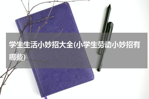 学生生活小妙招大全(小学生劳动小妙招有哪些)