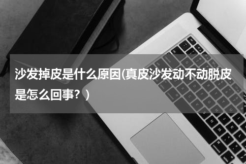 沙发掉皮是什么原因(真皮沙发动不动脱皮是怎么回事？)