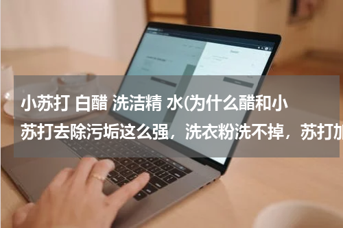 小苏打 白醋 洗洁精 水(为什么醋和小苏打去除污垢这么强，洗衣粉洗不掉，苏打加醋干掉，油污垢)