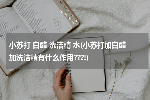 小苏打 白醋 洗洁精 水(小苏打加白醋加洗洁精有什么作用???!)