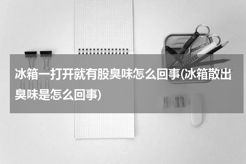 冰箱一打开就有股臭味怎么回事(冰箱散出臭味是怎么回事)