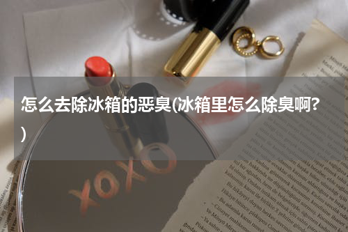 怎么去除冰箱的恶臭(冰箱里怎么除臭啊?)