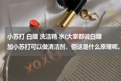 小苏打 白醋 洗洁精 水(大家都说白醋加小苏打可以做清洁剂，但这是什么原理呢。)